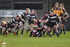 Old Belvedere RFC 5 Cooke RFC 0 (WAIL)