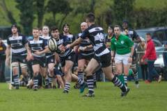17-Mens-Senior-XV