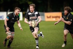 7-Belvo-on-the-move