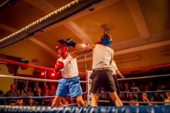 The Belvo Brawl 2016